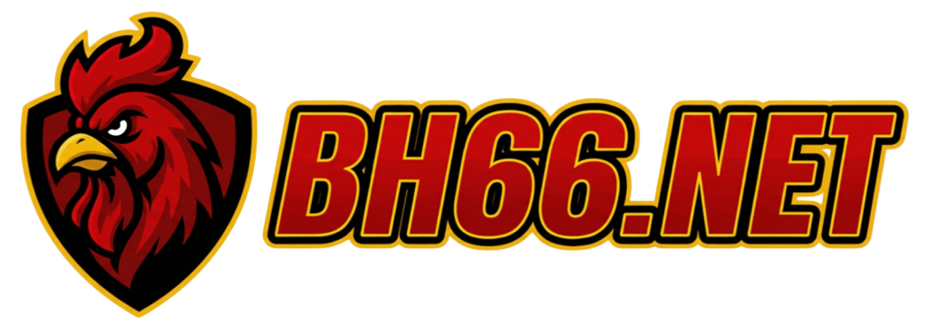 BH66.NET – Trang Đá Gà Campuchia Uy Tín Hàng Đầu